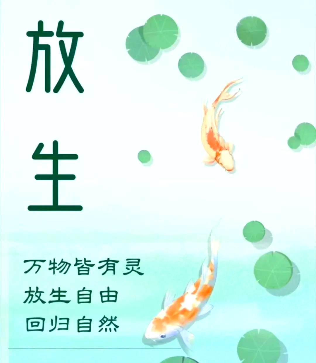 放生锦鲤:祈福功德,诸事顺遂的信仰之旅