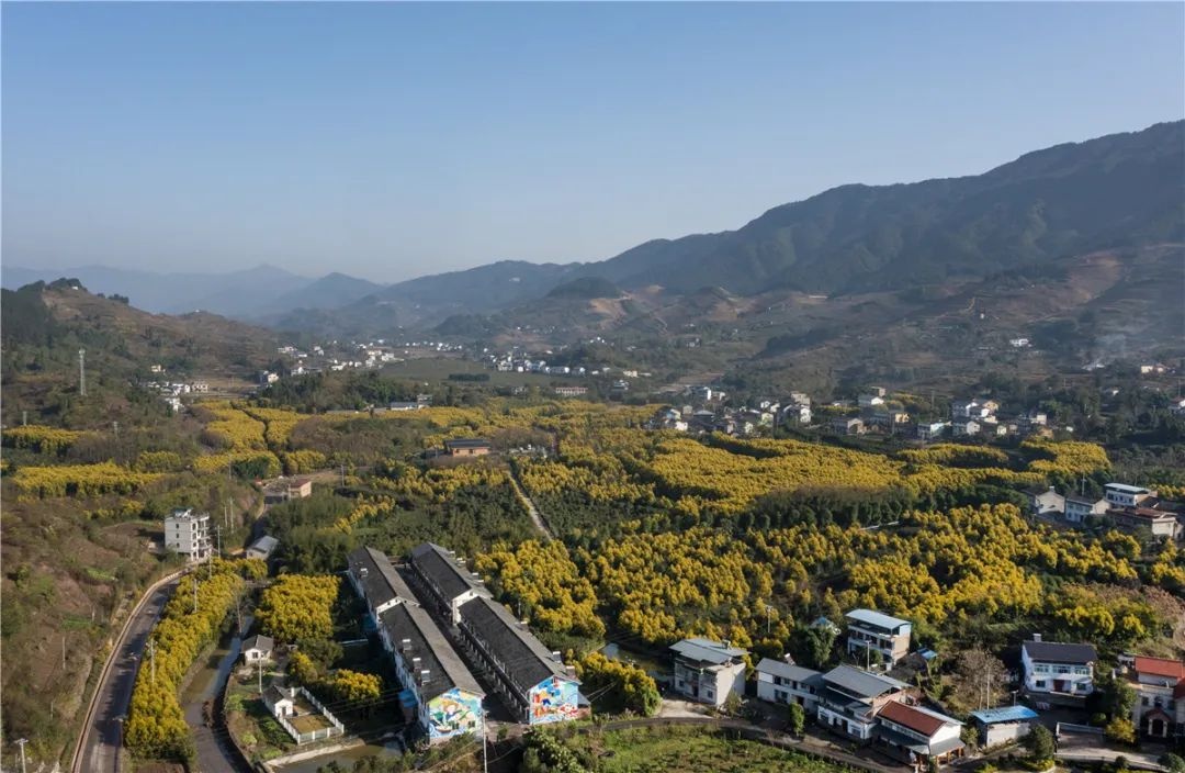 视觉重庆|北碚东升:沐浴在金色阳光中的美丽乡村