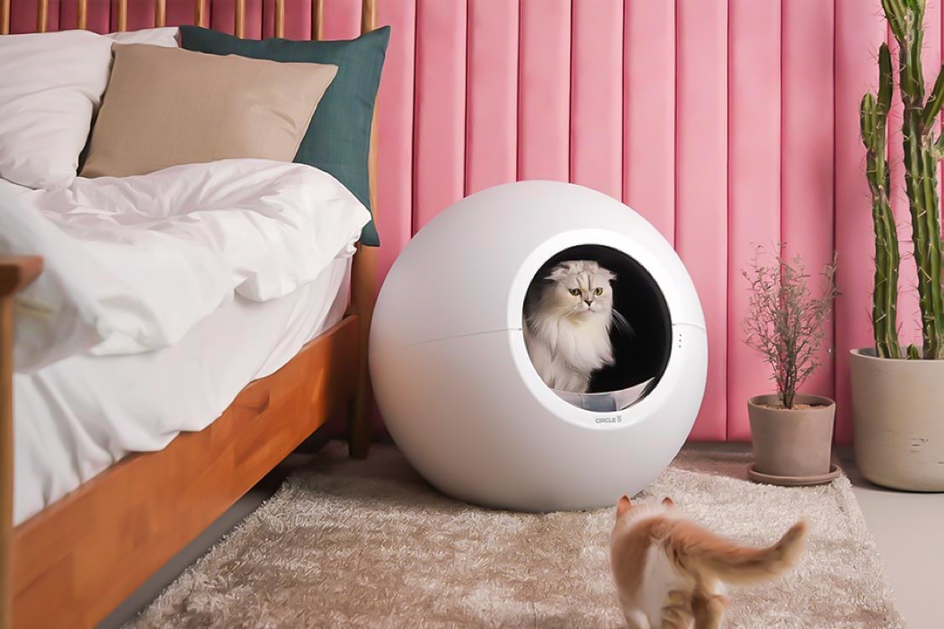 是日美好事物|可以智能铲屎的未来主义猫窝,阿迪达斯和迪士尼为高飞