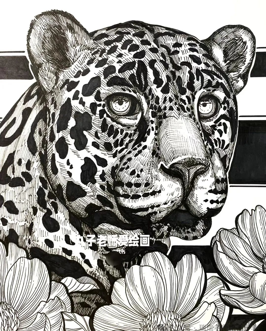 探索艺术之美:少儿美术动物线描系列课程精选素材合集