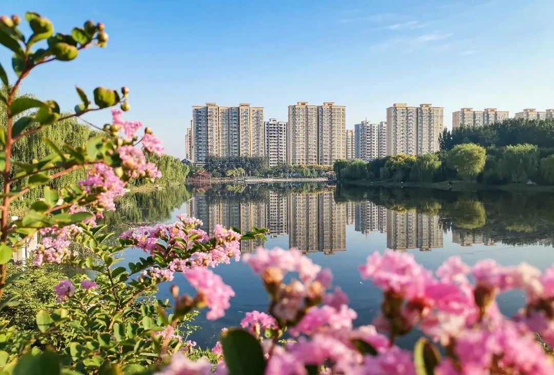 商河县玉皇庙镇:聚力三个关键 勇做招才引智"先行区"