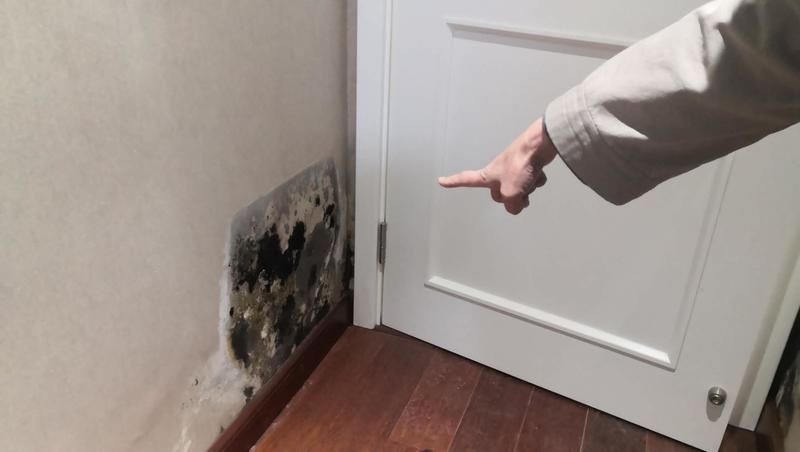 看到房屋墙面发霉鼓包,段女士才发觉不对劲,经检查,卫生间内的下水主