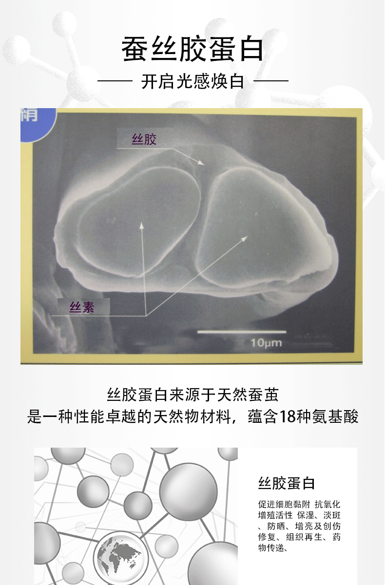 创业者|七月豆屈佳权:在广西,讲一个蚕丝胶蛋白的产业故事