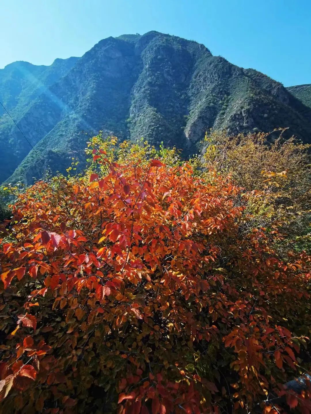 秋游临夏来抱龙山收获一波美景