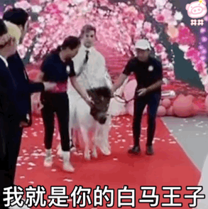 殷世航表情包丨为你疯为你狂为你变成殷世航