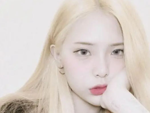 金提莫 baijiahao.baidu.com