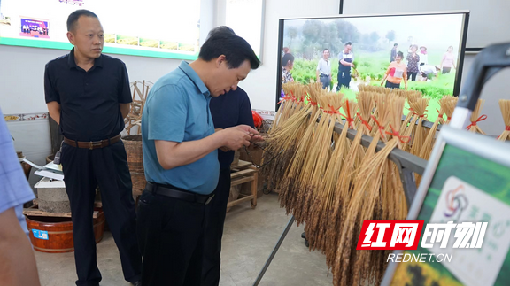 周晓理在娄底调研:解放思想,勇担使命,大力提升新时代新供销服务"三农