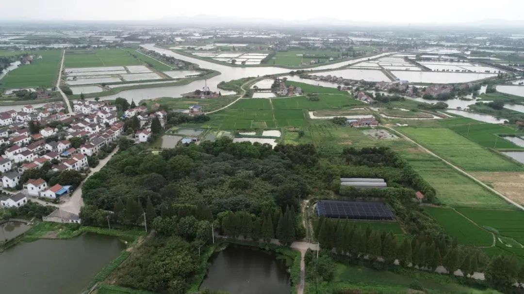 三星村遗址即将重启考古发掘