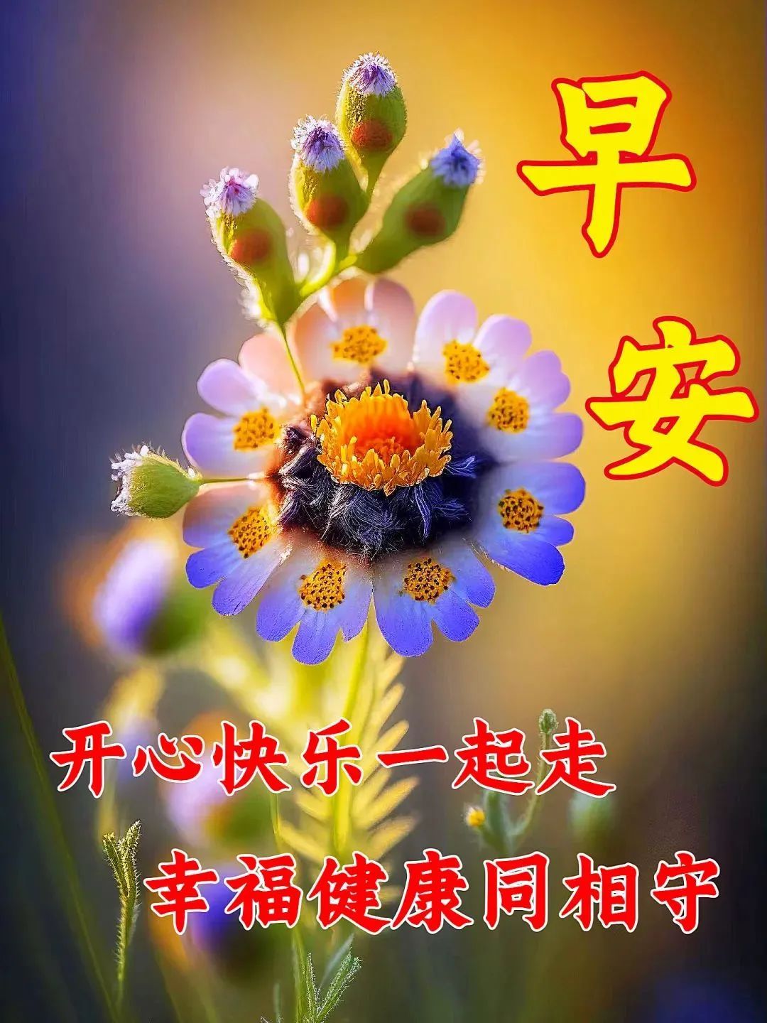 4月13日周四早上好最新温馨唯美祝福图片