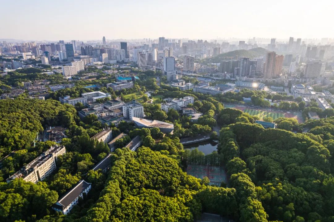 瞧,武漢大學有片海