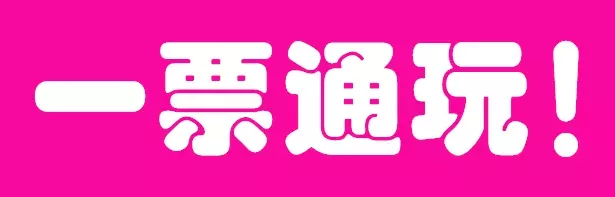 重磅来袭潮南区陇田东华村番客旅乐园首届海狮表演无动力乐园4月13日