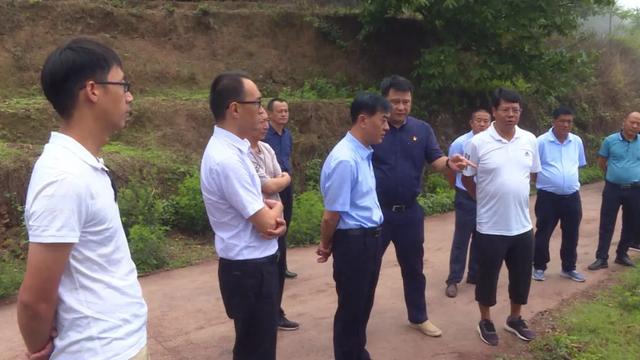 县委书记张泽忠到安定镇,文龙镇调研