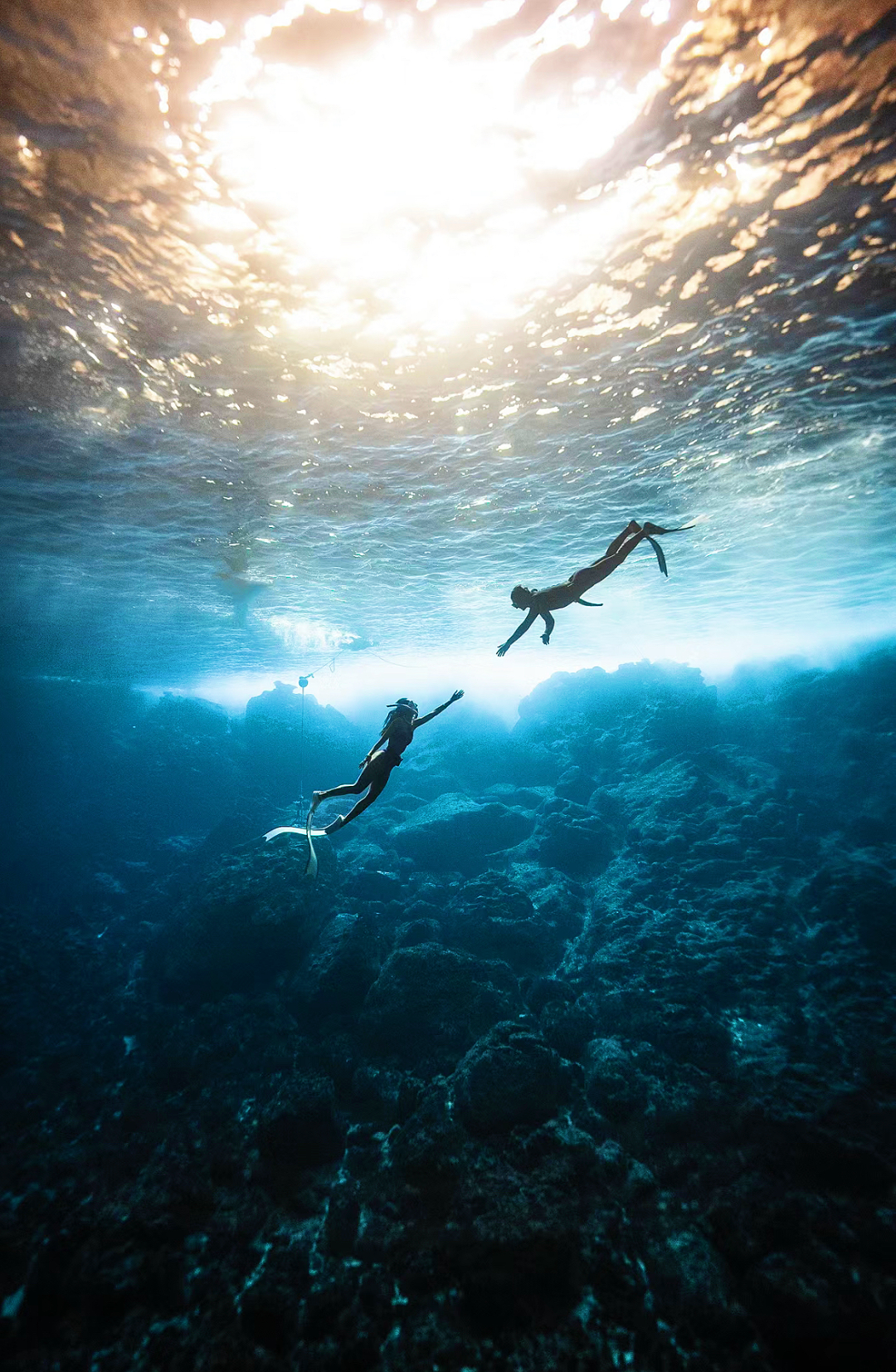 人们跃入深海的那一刻,就是为了一睹这梦幻的海下奇观——0815iam