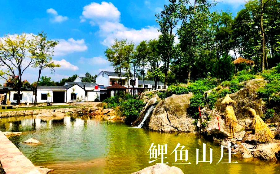 睢宁鲤鱼山庄:自然与农家乐的完美结合