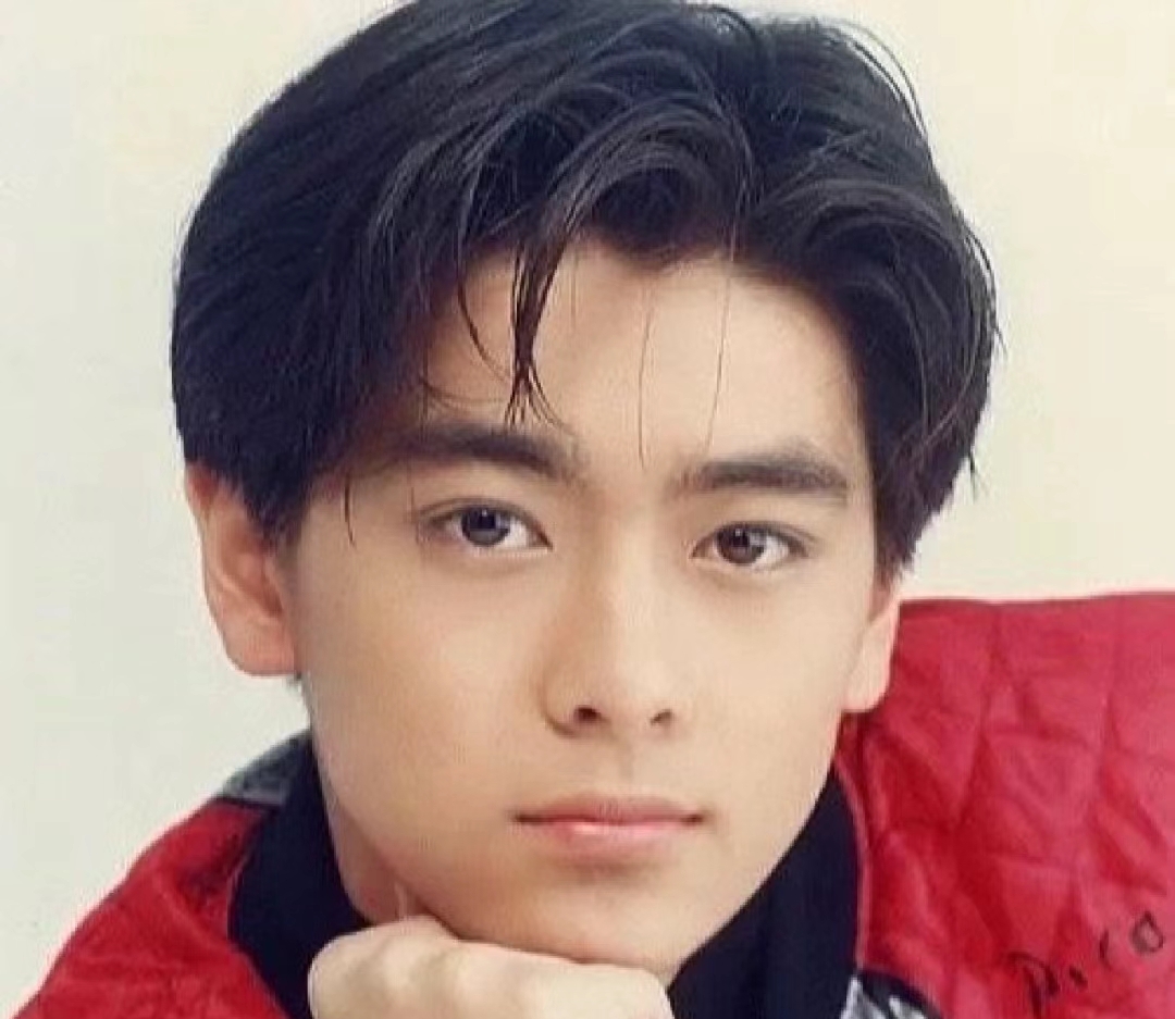 中韩帅哥pk,林志颖和车银优谁是第一美男?