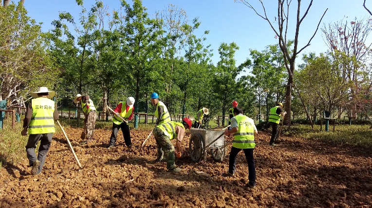 「节日我在岗」房县165名园林绿化工人坚守岗位植树护绿
