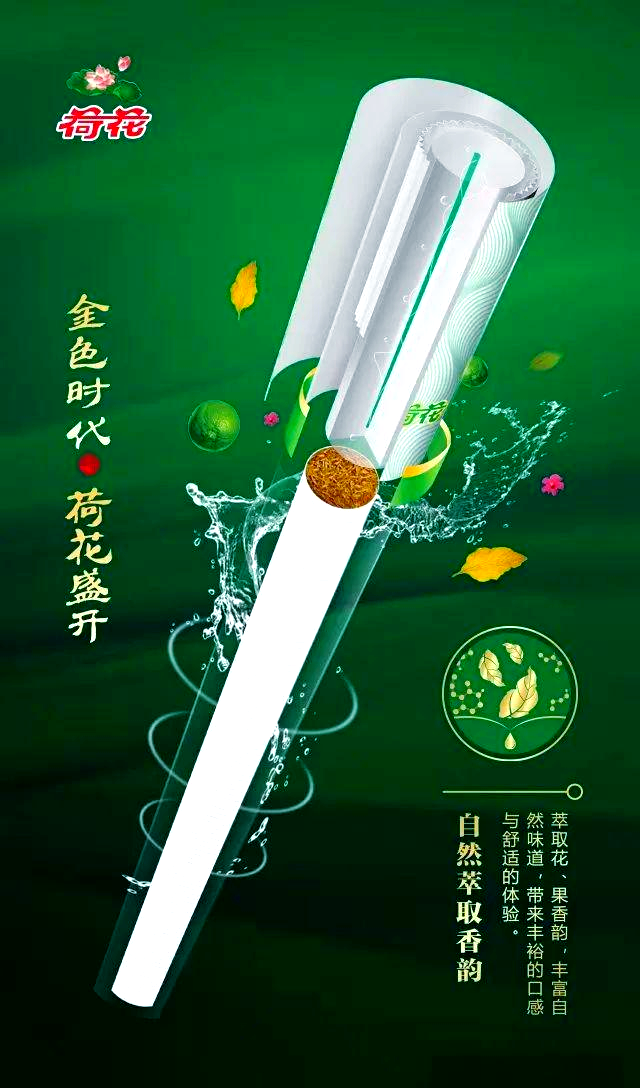 :味觉与艺术的完美交融,品质生活的尊贵象征