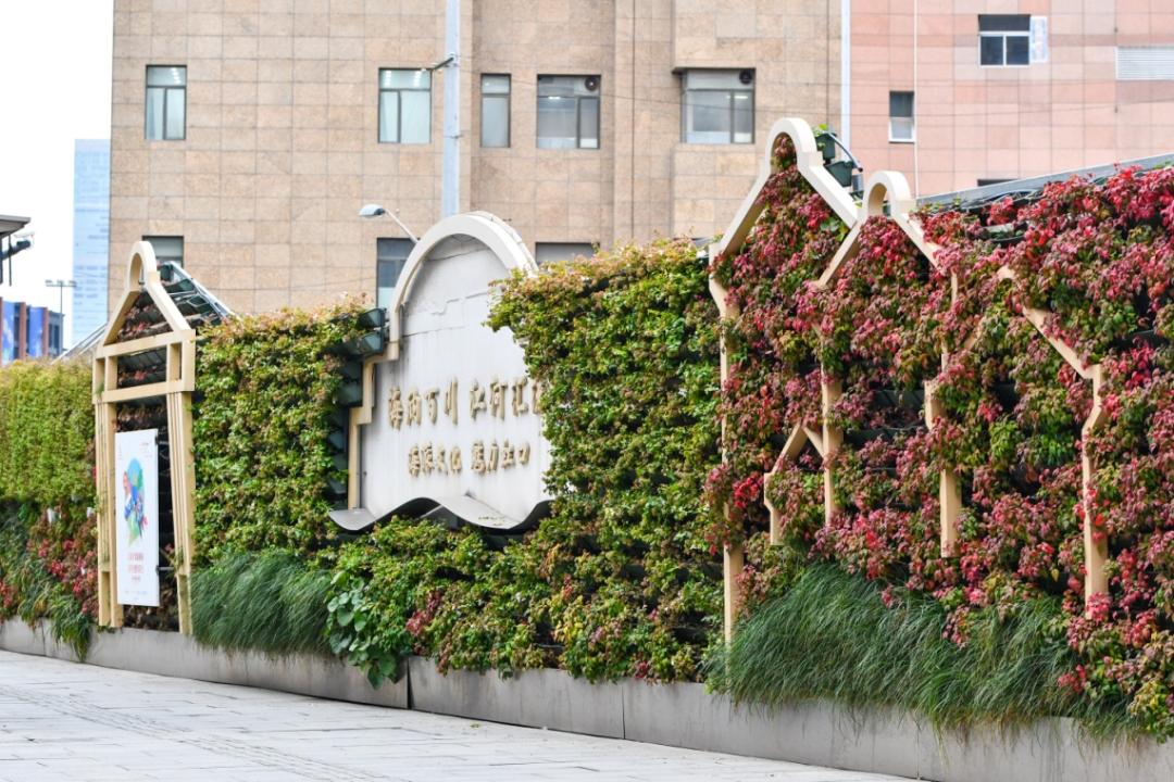 【探索】公园城市建设中的立体绿化,你知道哪些?