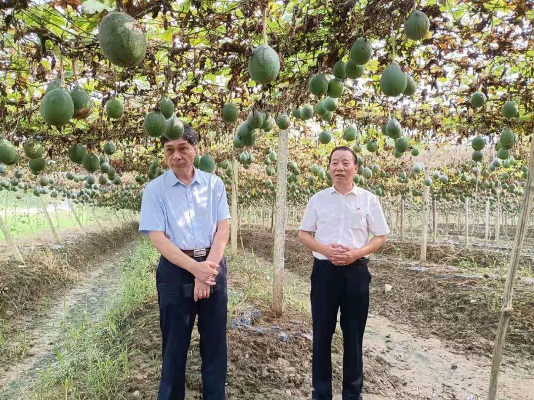 程金林率队调研新型农村集体经济发展情况