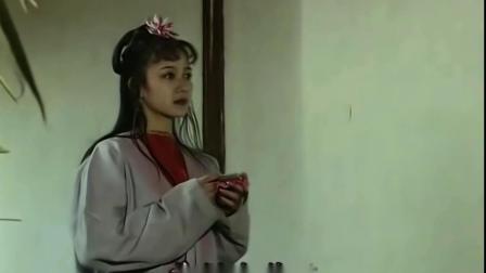 济公游记最美女演员图片