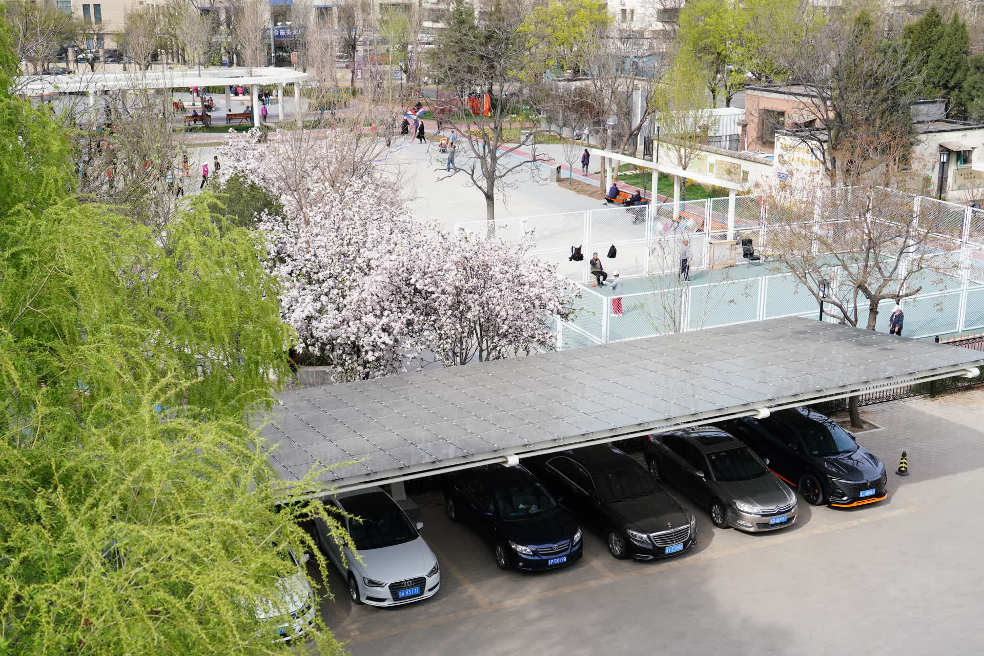 北京日报专题报道青塔街道!这处街心公园竟有这么多门道