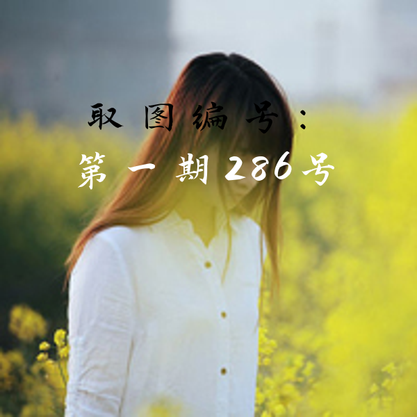 qq头像女生清新意境 文艺女生唯美意境清新自然