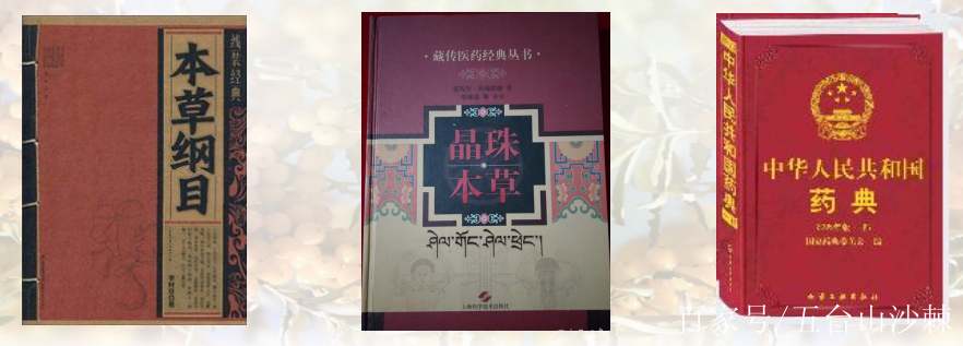 沙棘果油的作用和吃法
