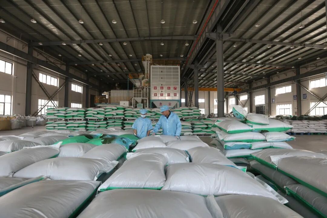 图片关键词 图片