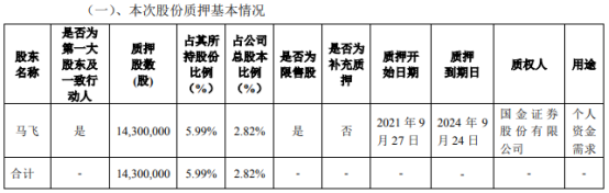 飞荣达董事长马飞图片