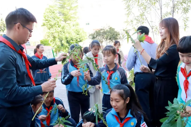 分田到"队",我在学校有块地!塘厦第一小学这样开展劳动教育