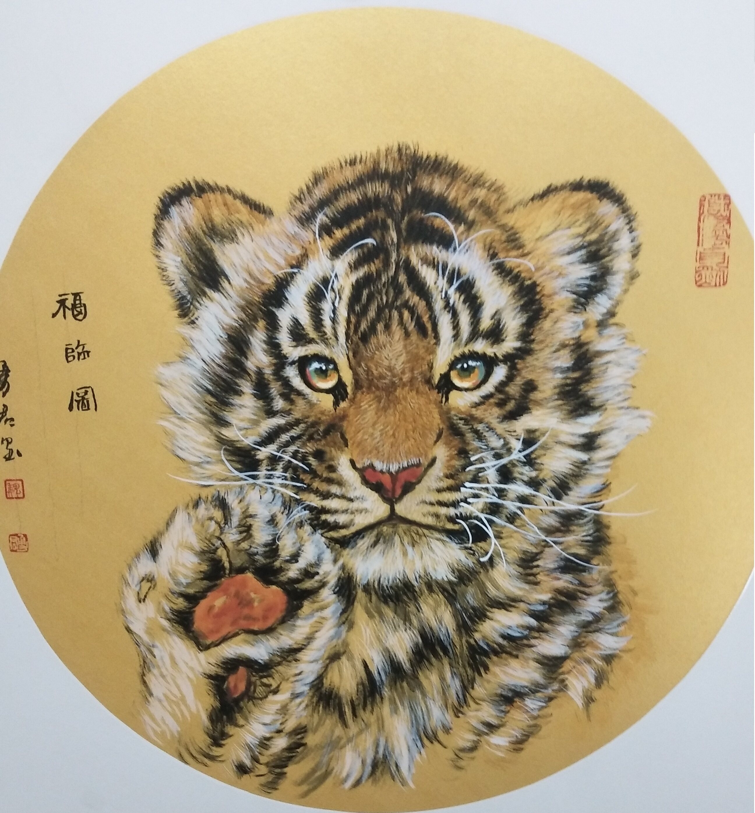 魏勇君笔下的斑斓虎世界:传神目光尽显喜怒哀乐