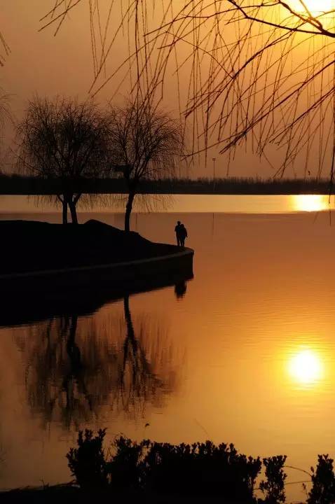 「夕阳人生」风景无限好,何惧近黄昏,太美了