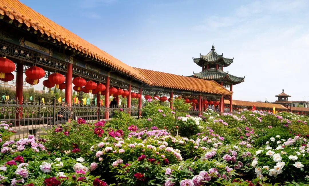 刚刚,"中国牡丹之都——菏泽号"开启,这是鲁西南地区首个以城市冠名的