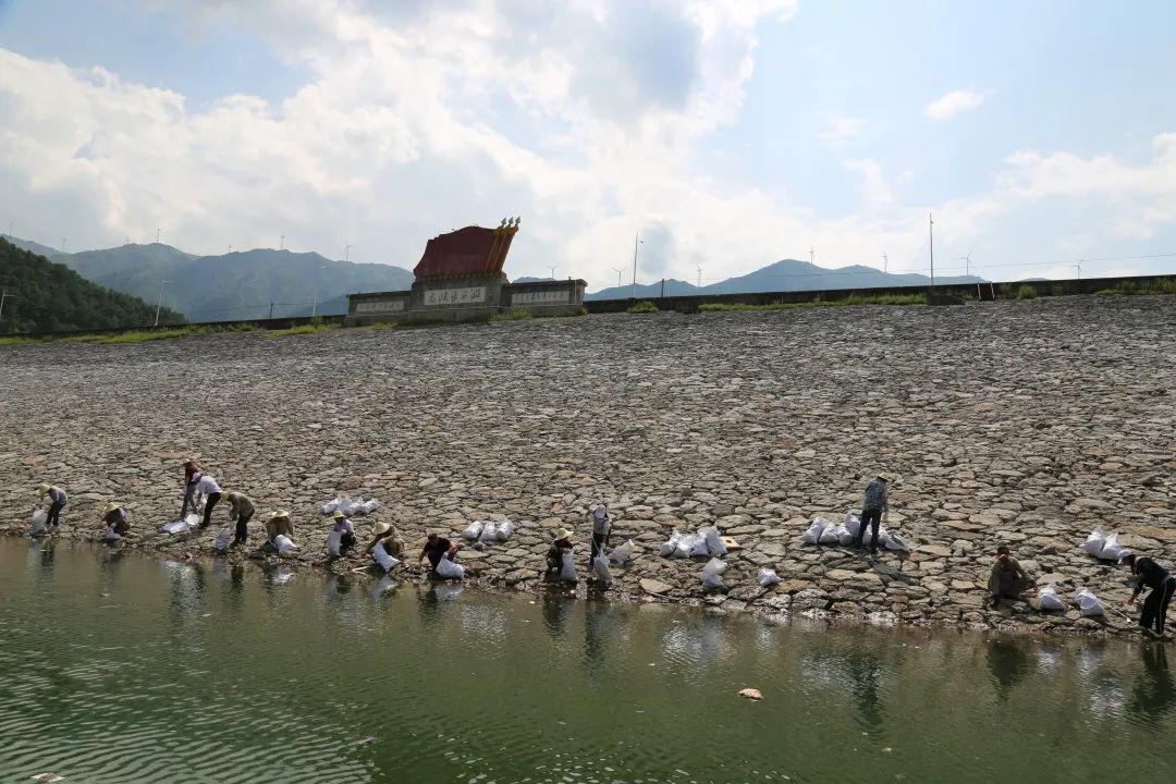 与水共舞,科学治水