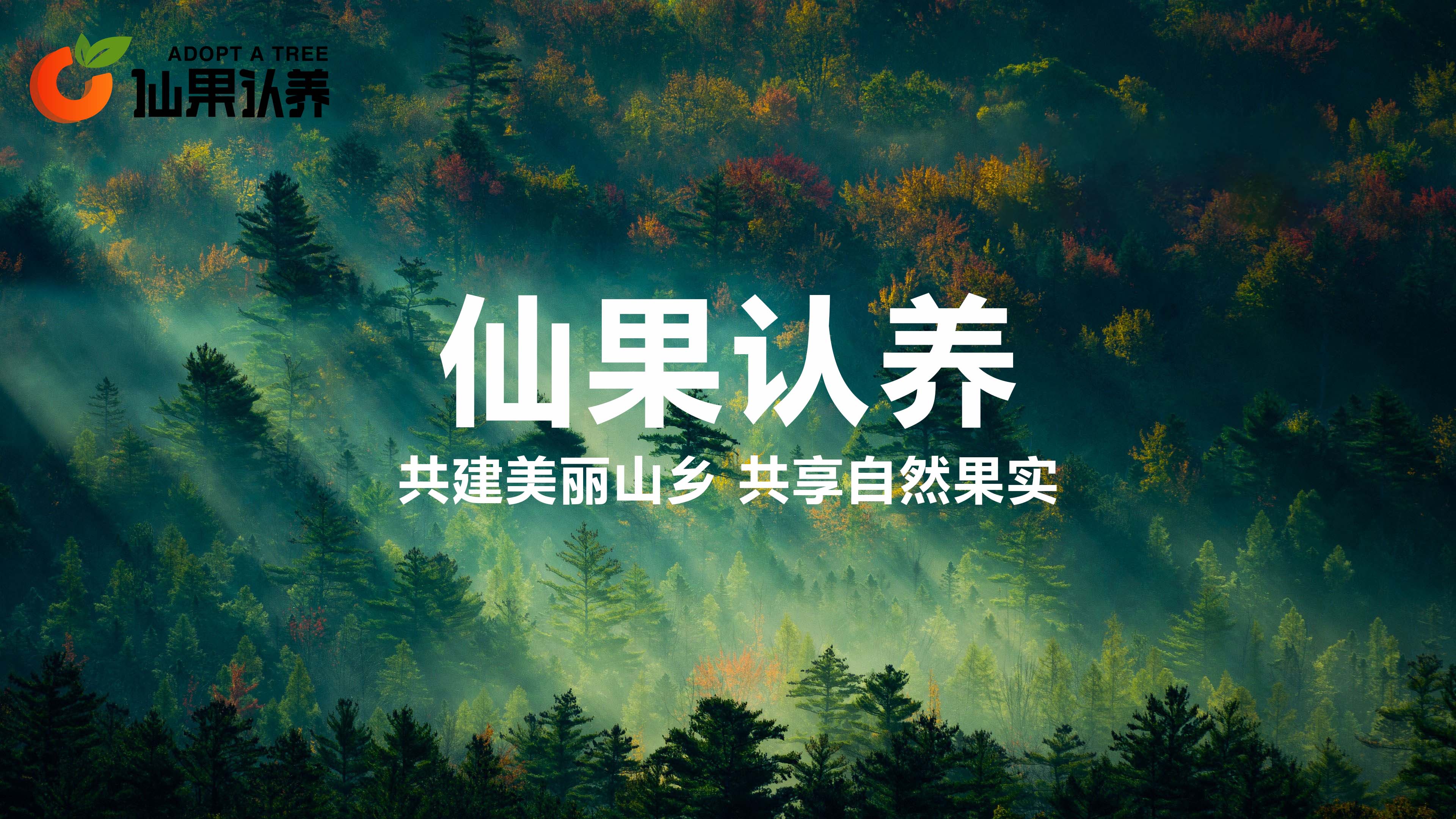 「仙果认养」认养一棵树,让你我共建美丽山乡