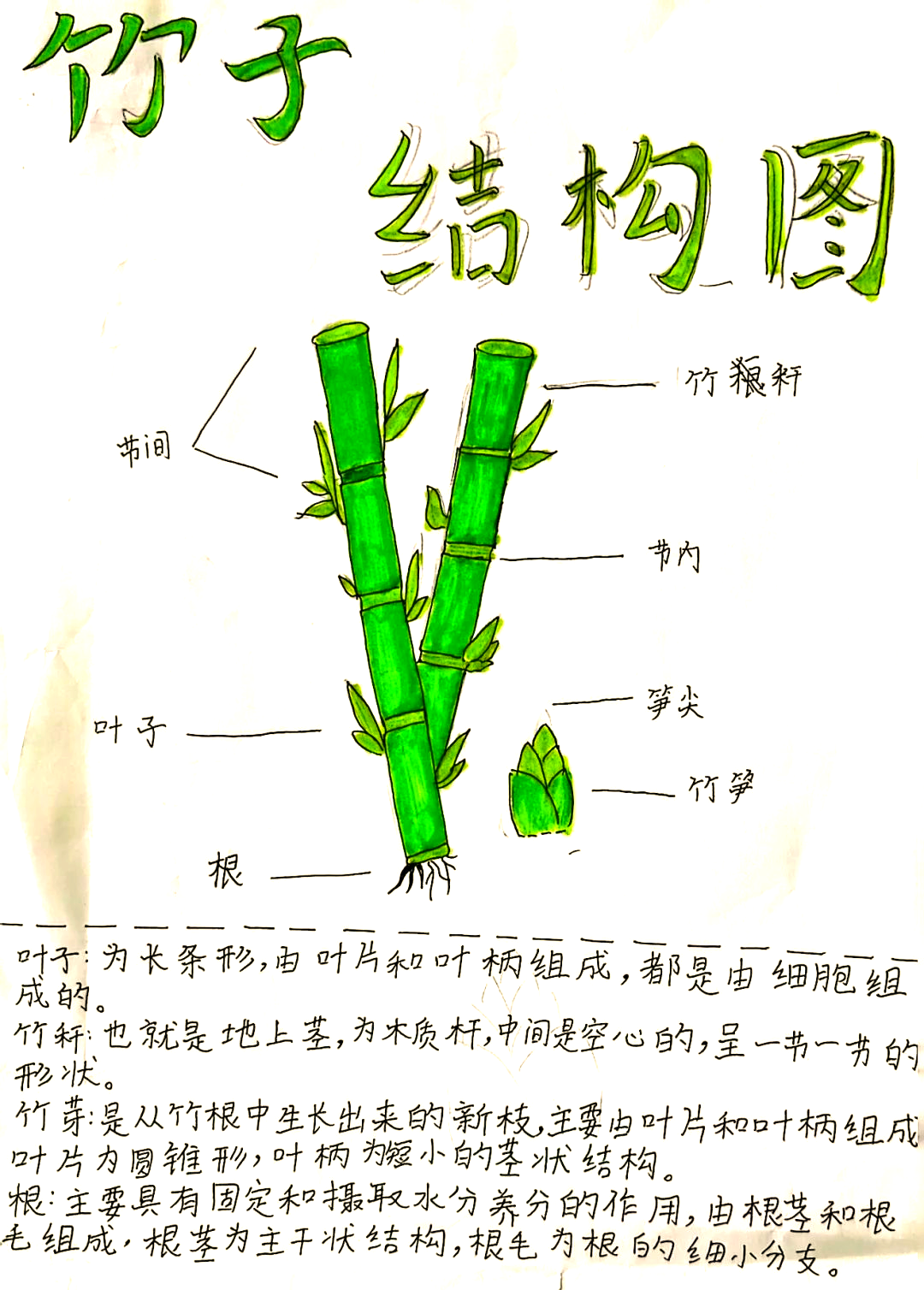 "竹"迹系列课程