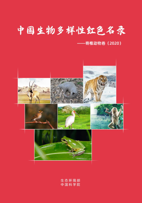 中国生物多样性红色名录更新,部分物种濒危状况持续向好