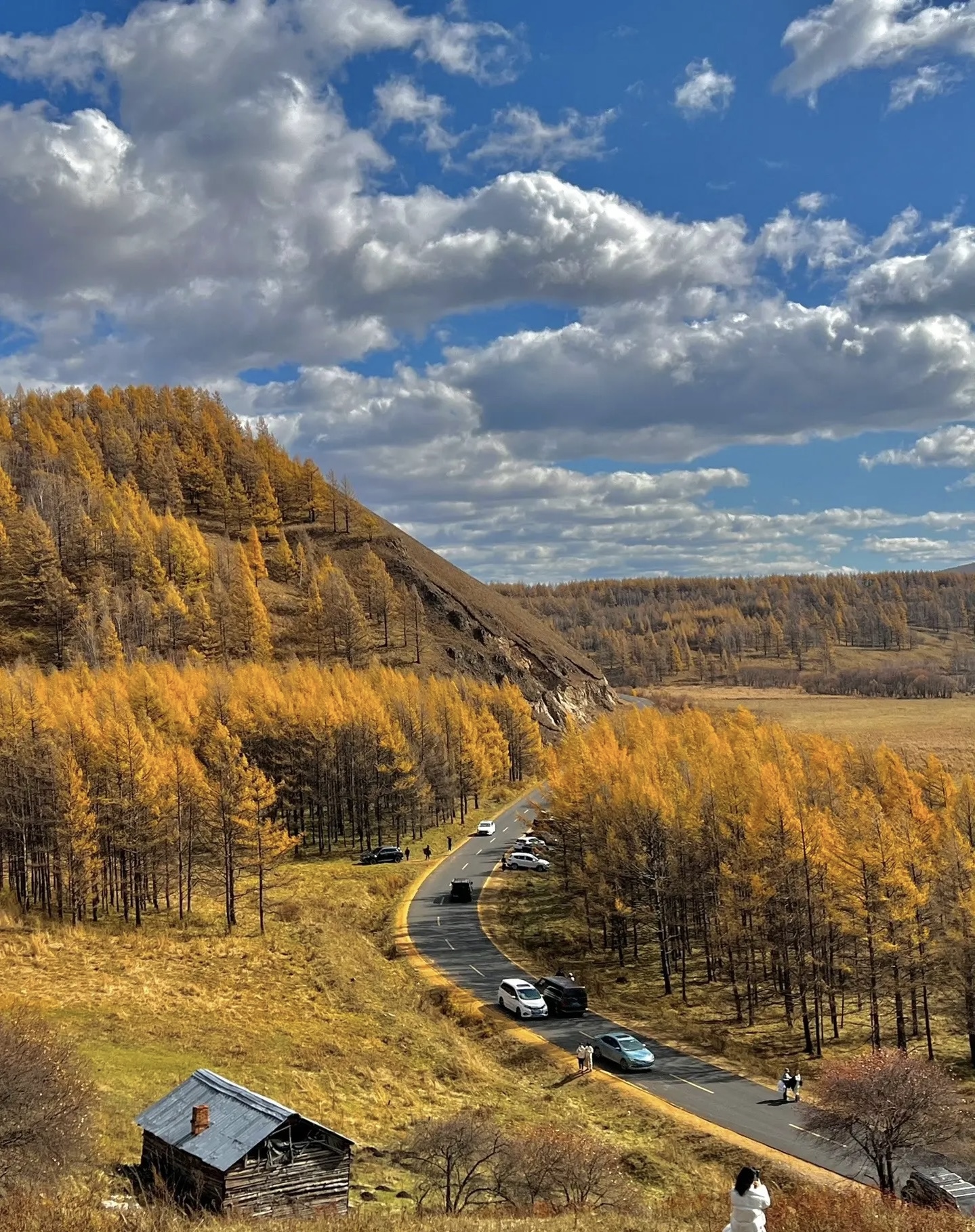 大兴安岭的秋天