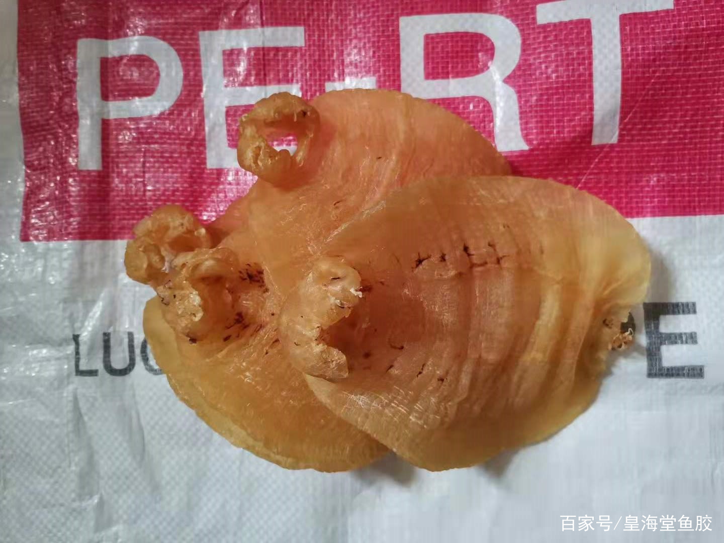 鱼鳔是什么功效有哪些 _鱼鳔是什么-第2张图片-潮百科