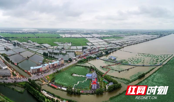 湘阴县鹤龙湖镇入选全国农业产业强镇创建名单