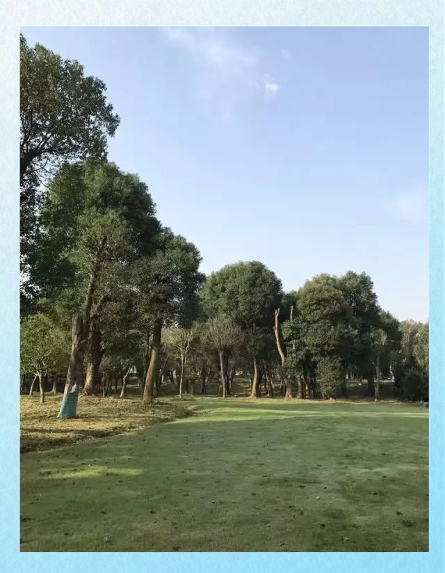 仙凤三宝:宜春市新地标,周末度假好去处