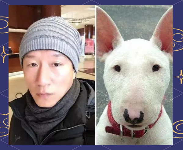 孙红雷与牛头梗的趣味相似之旅