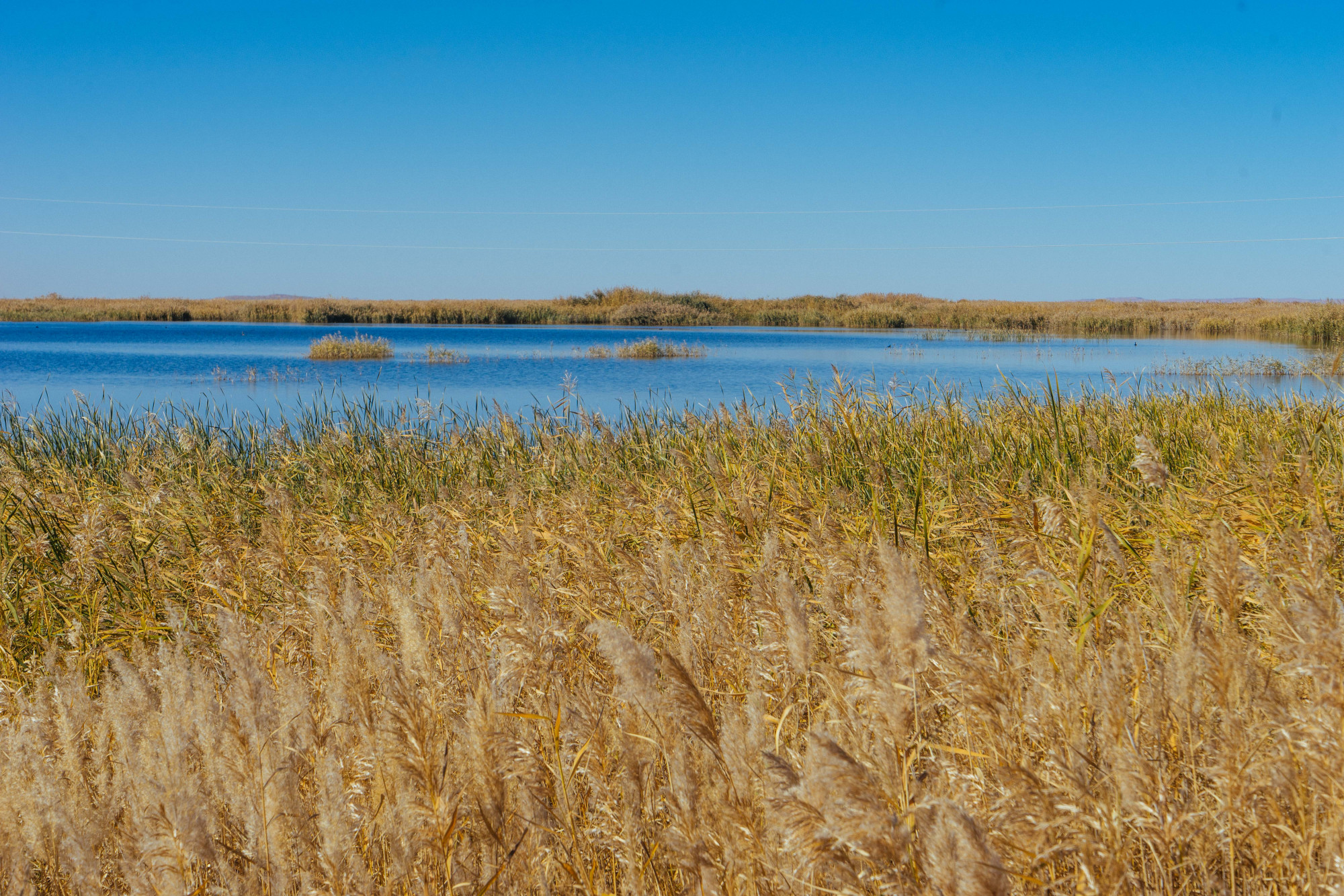 武威沙漠公园,大漠上的网红打卡点,景色太美了
