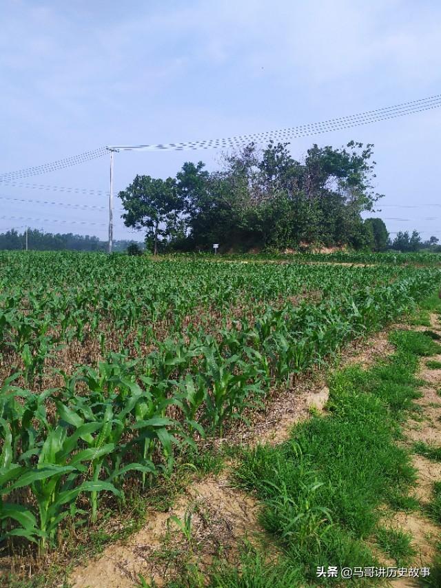 《明·汤阴县志·李鐩传》译注