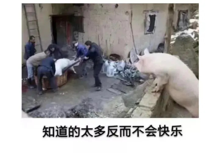 有时候知道得太多反而不快乐