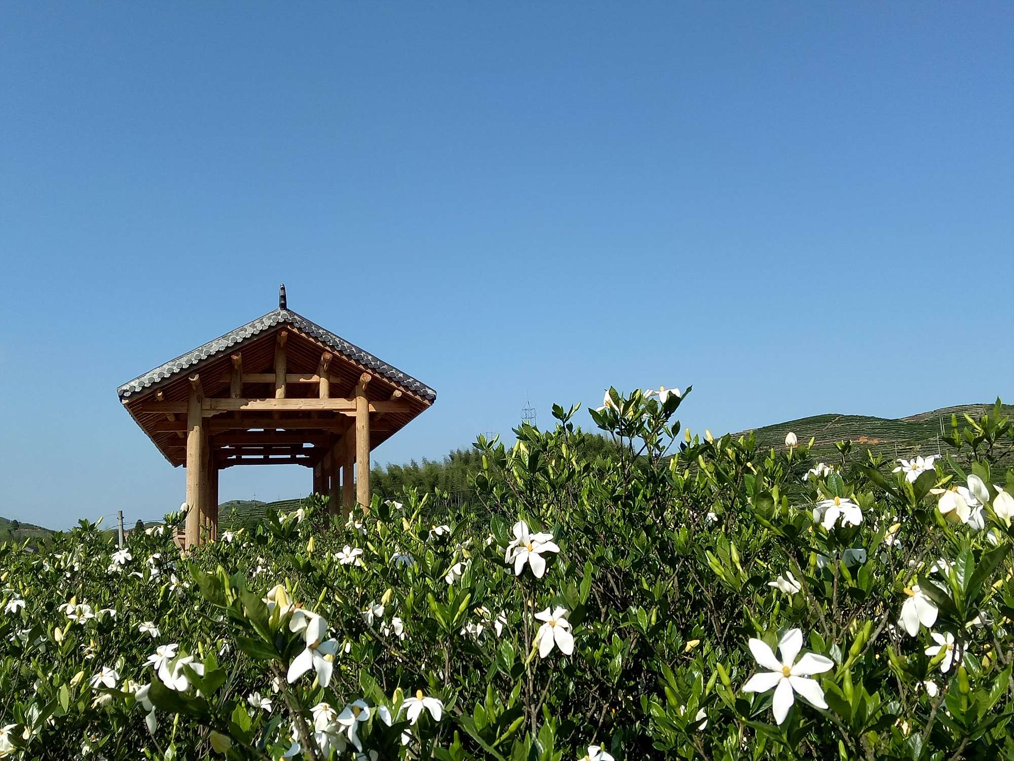 玉塔村四面环山,峭壁深沟与山涧溪流纵横交错,生态环境优美,是一座