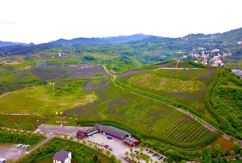 遵义桐梓:提档升级推动旅游产业化实现新突破