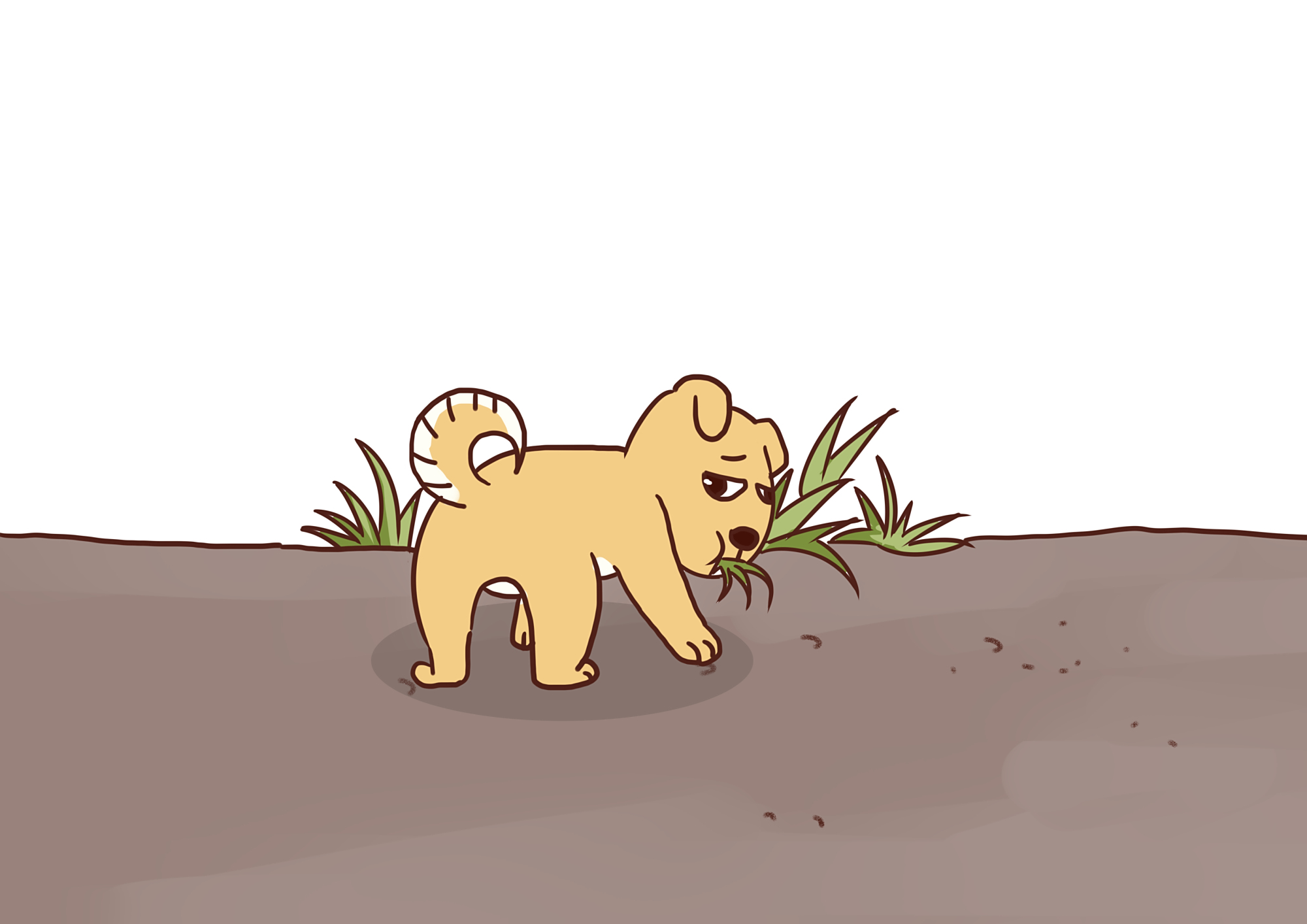 汪星人为啥会吃草?狗子:铲屎的可千万别误会我了