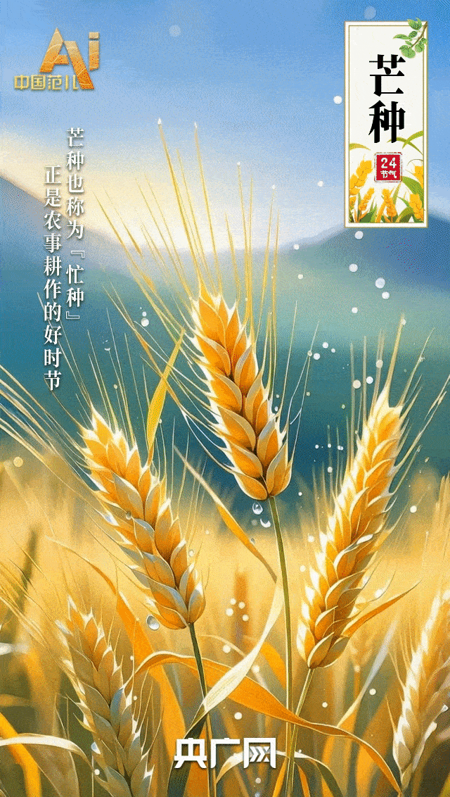 節氣里的中國智慧｜“芒”有所獲，“種”有所得-有駕