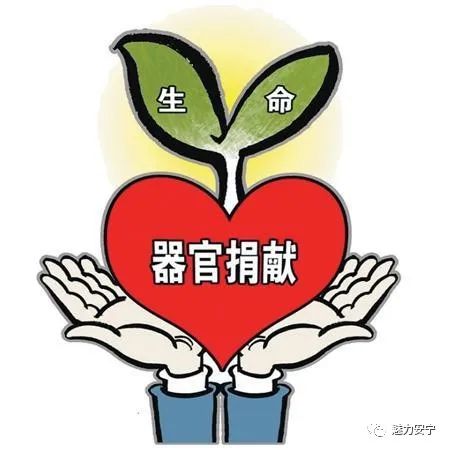 「社会公益」化素昧平生为血脉相连|安宁2020年首例人体器官捐献顺利